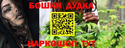 индика Усть-Илимск