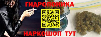 прущие грибы Уссурийск
